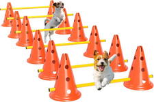 Agility set cani usato  Roma