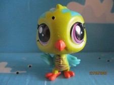 Petshop oiseau pigeon d'occasion  Bailleul