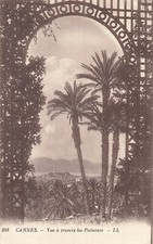 Cannes 11909 d'occasion  Vasles