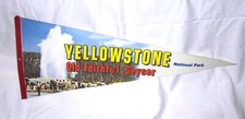 Vintage yellowstone national for sale  Renton