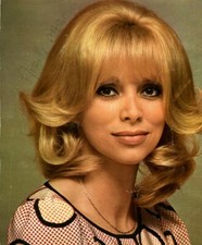 Mireille darc photographie d'occasion  Sète