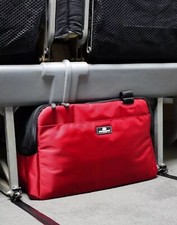 Sleepypod atom pet for sale  Berwick