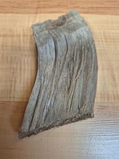 Kleines gebogenes brett gebraucht kaufen  Werneuchen
