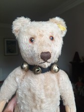 Vintage steiff teddybear for sale  DUMFRIES