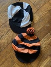 Hat silks horse for sale  RIPON