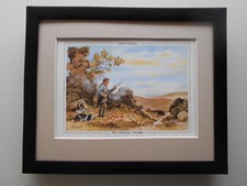 Norman thelwell shooting for sale  YORK
