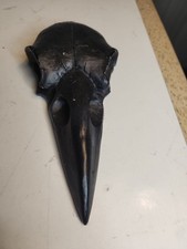 Raven skull hand for sale  LOCHWINNOCH