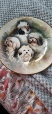 Tibetan terrier collectors for sale  LYTHAM ST. ANNES