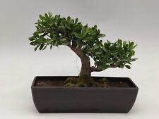 Kunstbaum bonsai topf gebraucht kaufen  Ehringshausen