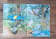 Tierposter vögel medizini gebraucht kaufen  Bottrop