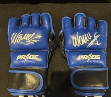 Pride replica gloves for sale  Elk River