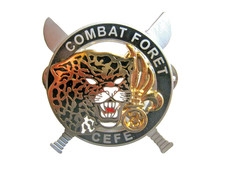 Legion etrangere rei d'occasion  Saint-Mamert-du-Gard