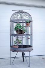 Vintage iron parrot for sale  San Jose