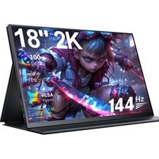 Portable monitor zoll gebraucht kaufen  Aspisheim, Grolsheim