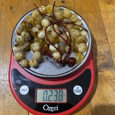 Pure 100 amber for sale  Dearborn Heights