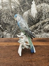 Oiseau perruche porcelaine d'occasion  Rambouillet