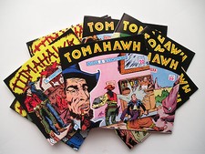 Tomahawk quadro completa usato  San Dona di Piave