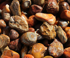 Bahia agate rough for sale  Dallas