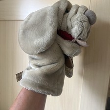 Ganzbros wrinkles dog for sale  FAVERSHAM