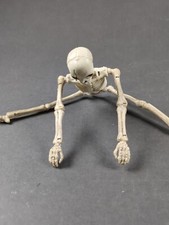Nude skeleton full for sale  Indianapolis