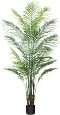 Crosofmi artificial areca for sale  SALFORD