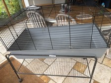 Extra large pet for sale  MILTON KEYNES