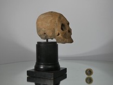 Antique vintage macabre for sale  GUILDFORD