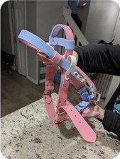 Bubblegum white polar for sale  Colorado Springs