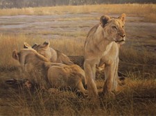 Robert bateman 1995 for sale  Bradenton