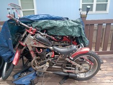 Occ chopper schwinn for sale  Colorado Springs