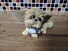 Little paws arora for sale  KING'S LYNN