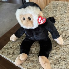 Mooch spider monkey for sale  Lincoln