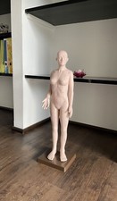 Akupunkturmodell weiblich stux gebraucht kaufen  München