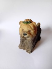 Small yorkshire terrier for sale  STOWMARKET