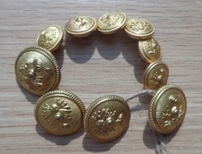 Lotto dieci bottoni usato  Volvera