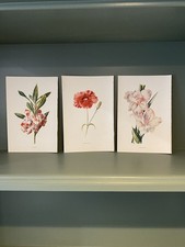 Original antique botanical for sale  WELWYN