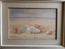 Erasmo ranucci molluschi usato  Roma