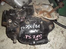 Suzuki ts250 250 gebraucht kaufen  Wernberg-Köblitz