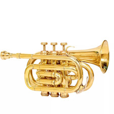 Solid brass golden for sale  Rock Hill