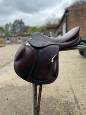 Prestige passion jumping for sale  ASCOT