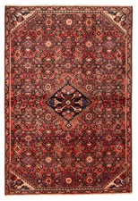 Vintage oriental hand for sale  Champlain