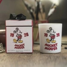 Maison francal disney d'occasion  Expédié en Belgium