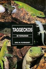 Taggeckos terrarium eric gebraucht kaufen  Berlin