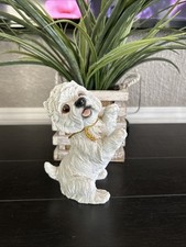 Maltese white terrier for sale  El Paso