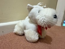Senza small white for sale  SHEPTON MALLET