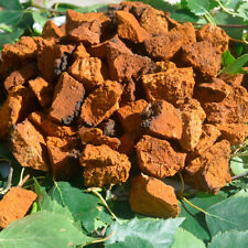 Pezzi chaga raccolti usato  Spedire a Italy