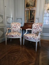 Paire fauteuils cabriolet d'occasion  Thorigny-sur-Oreuse