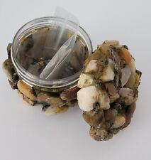Stones themed geocache for sale  BARRY
