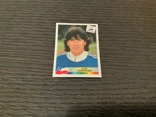 France panini chile usato  Castel Maggiore
