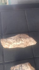 Paleolithic portable art d'occasion  Brest